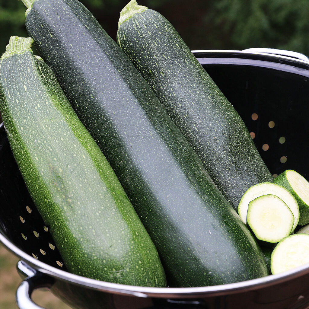 Three zucchini with several zucchini slices in a metal strainer bowl