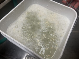 A white bucket of cucumber seeds, pulp, and water