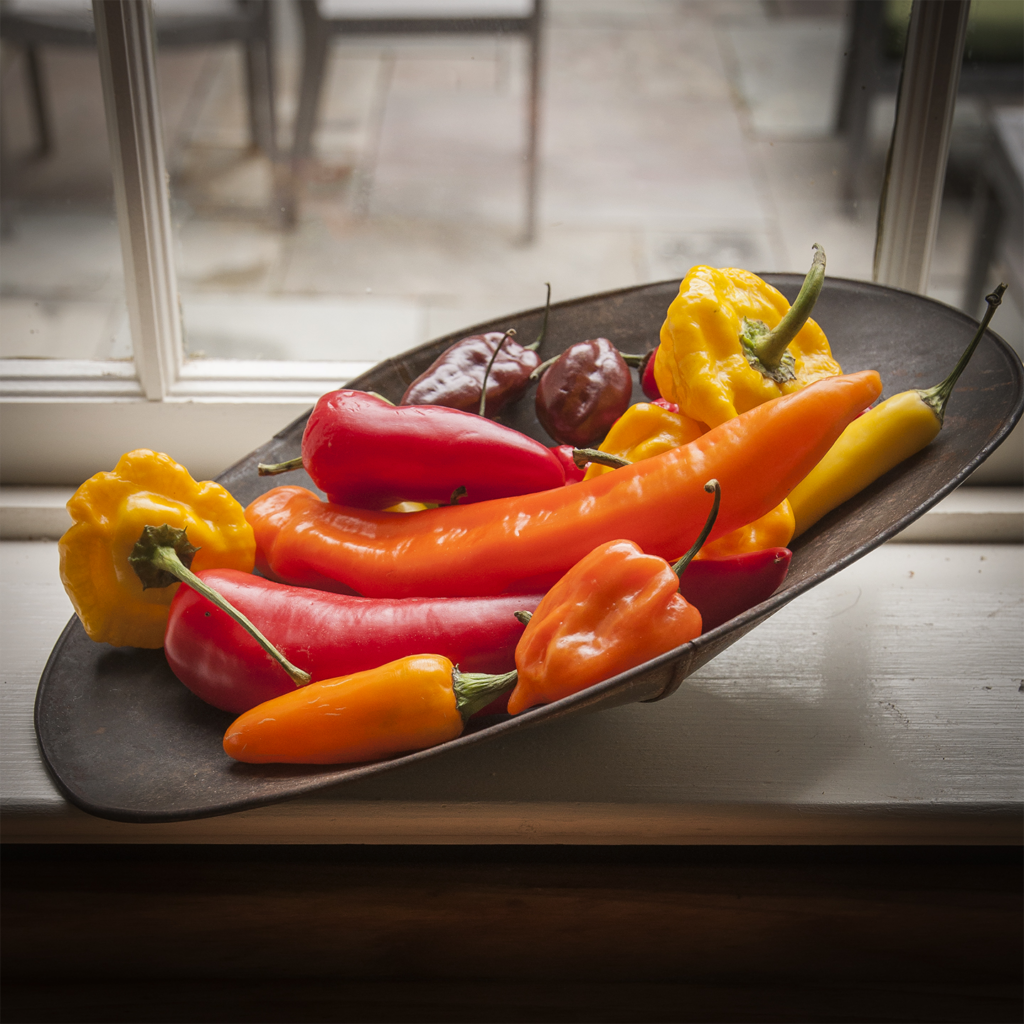A bowl of peppers of different sizes, shapes, and colors