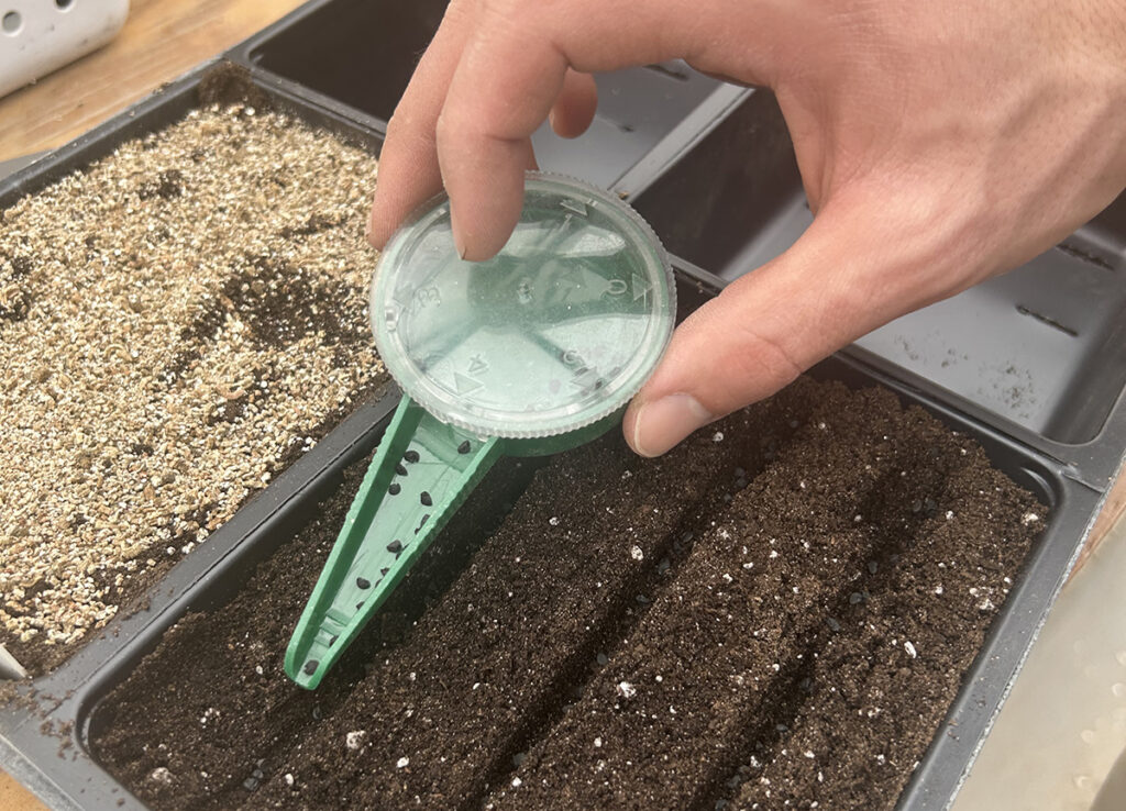 A person uses a green RapiClip seed sower to plant onion seeds in plastic greenhouse trays