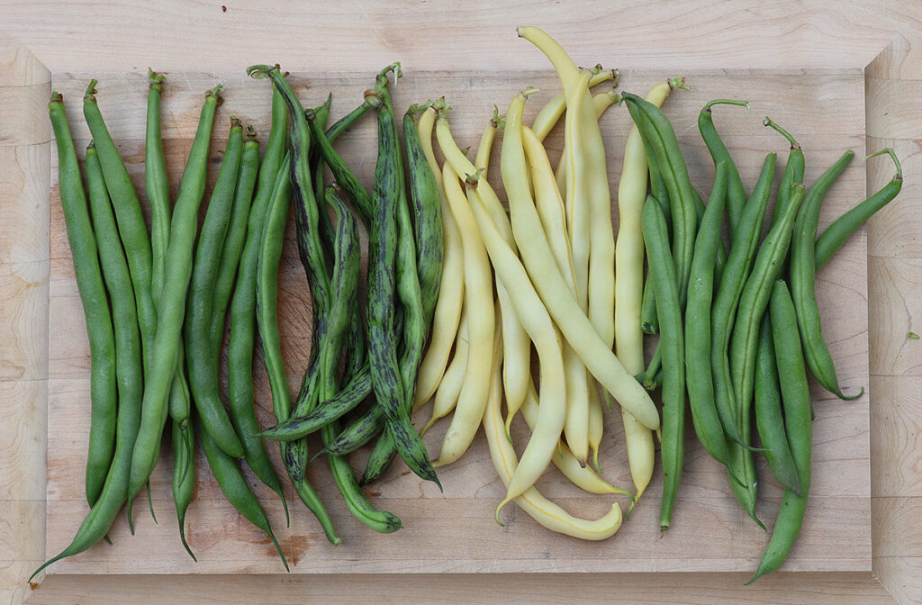 A wooden serving tray with four types of snap beans on it