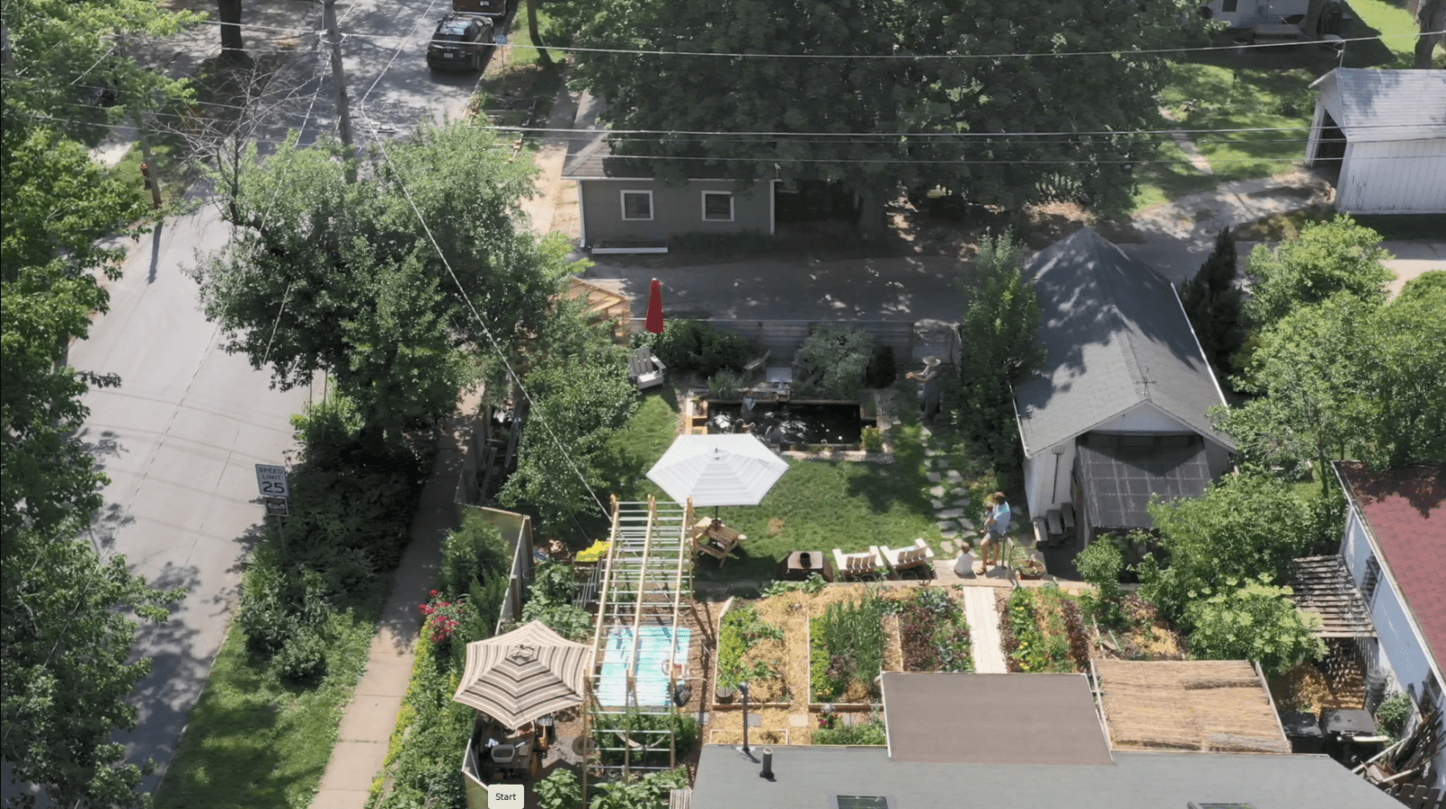 Gassman family yard today An aerial view of a backyard on a street corner, with garden beds, umbrellas, sheds, and a pond next to a house