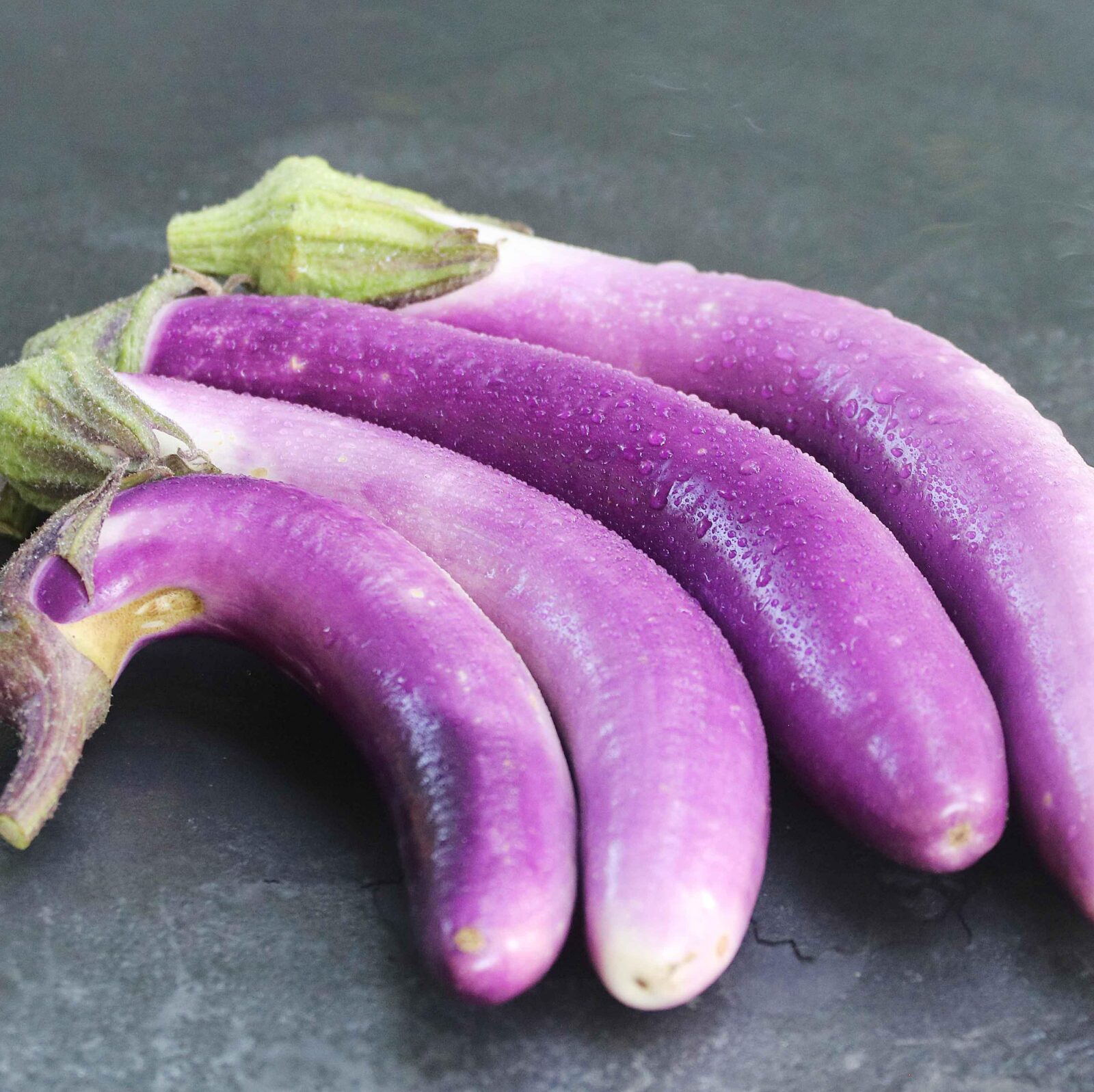 Four long purple and white 'Pingtung Long' eggplants on a gray countertop