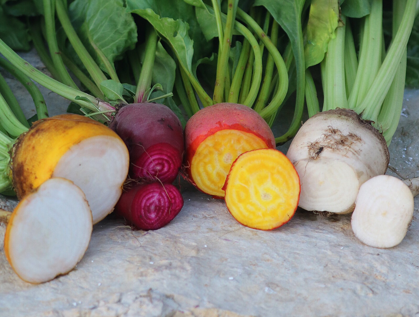 Four sliced beets of different colors (white and yellow, red, yellow, and white) lined up.