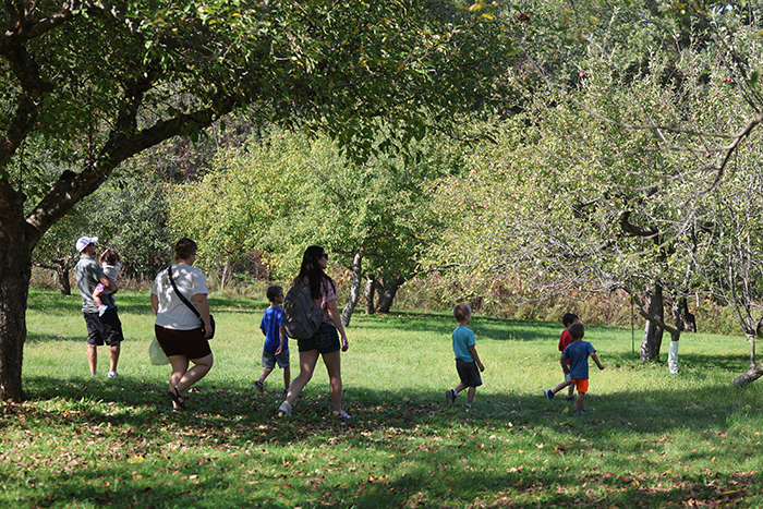 A multigenerational family walks through an apple orchard