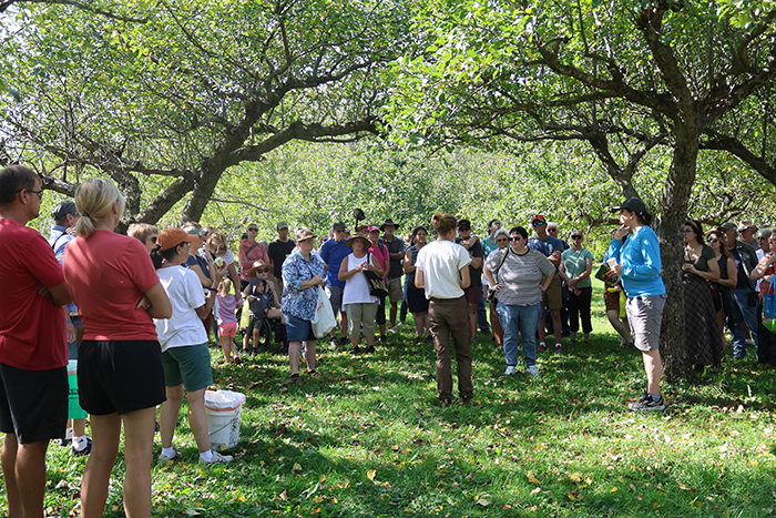 A tour group gathers in an apple orchard.