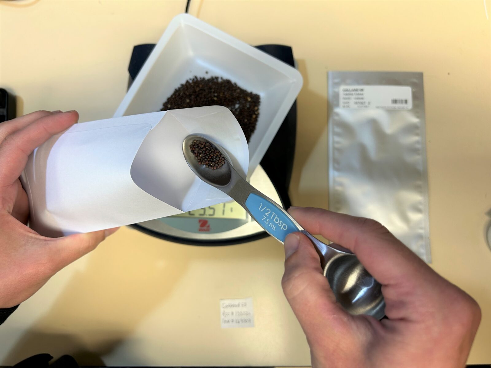 Collard seed distribution 2 (1) Hands putting a small spoonful of seeds from a tray on a scale into a white envelope