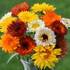 Many colorful flowers in a vase