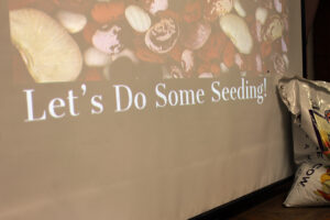 An image of a variety of bean seeds with the words "Let's Do Some Seeding!" projected on to a large screen with a bag of soil sitting on the floor in front of the screen