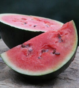 two red watermelon pieces, one half and one quarter
