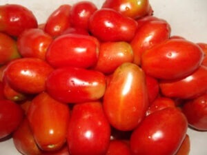 many pear-shaped, red tomatoes