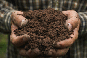 A person in a plaid shirt holds rich, healthy soil in their hands
