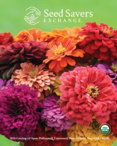 A flower bouquet of many different colors of zinnias