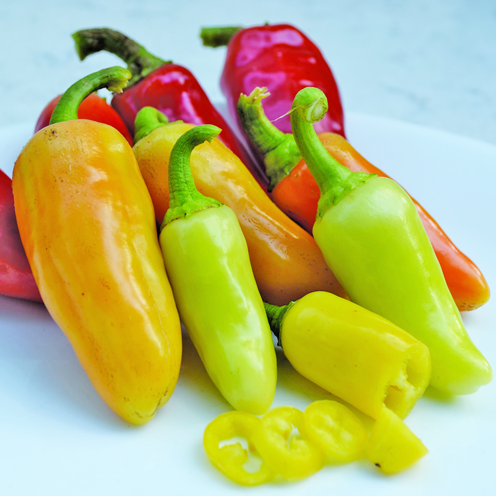 A pile of 'Wenk's Yellow Hots' peppers in a variety of colors from green to gold, orange, and red.
