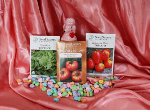 Three vegetable seed packets and a pink poodle figurine arranged on pink silk fabric surrounded by candy hearts