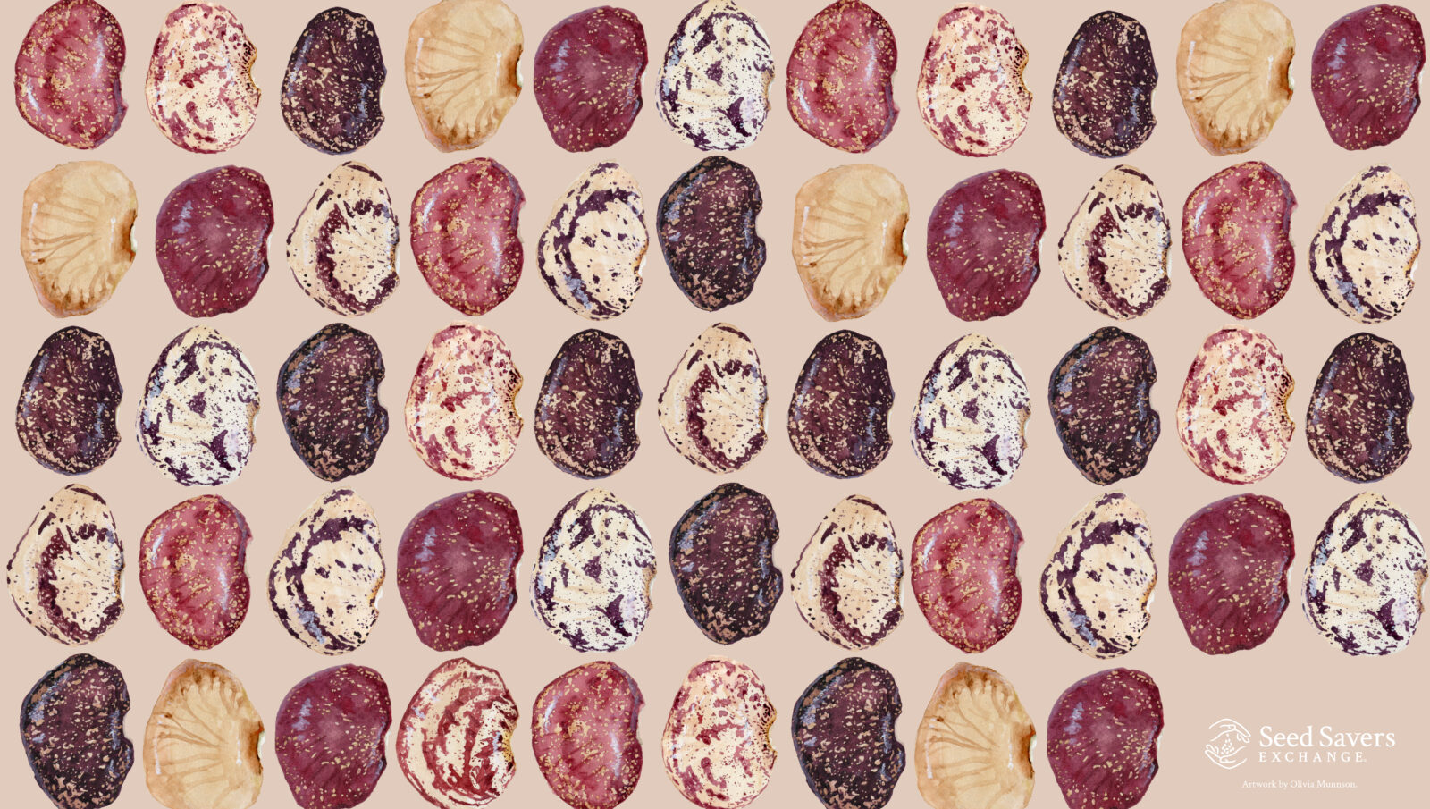 Repeating watercolor pattern of lima beans in shades of cream, burgundy, plum, and speckled purple on a warm beige background, featuring the ‘Phebe Vinson Heirloom’ variety.