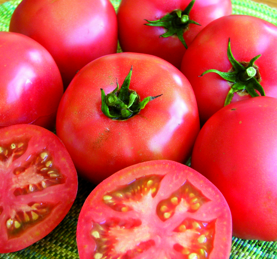 Six red 'Trucker's Favorite' tomatoes and two tomato halves on a plate