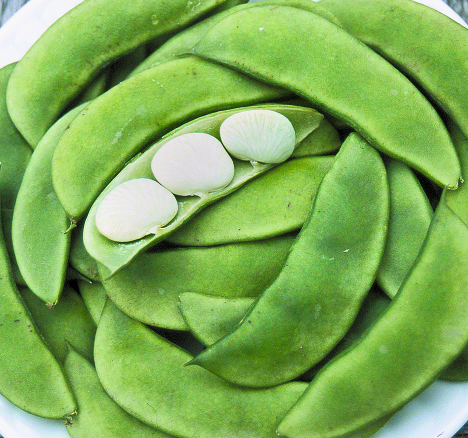 A pile of green 'Henderson Bush' lima beans with one opened in half to expose the white seeds
