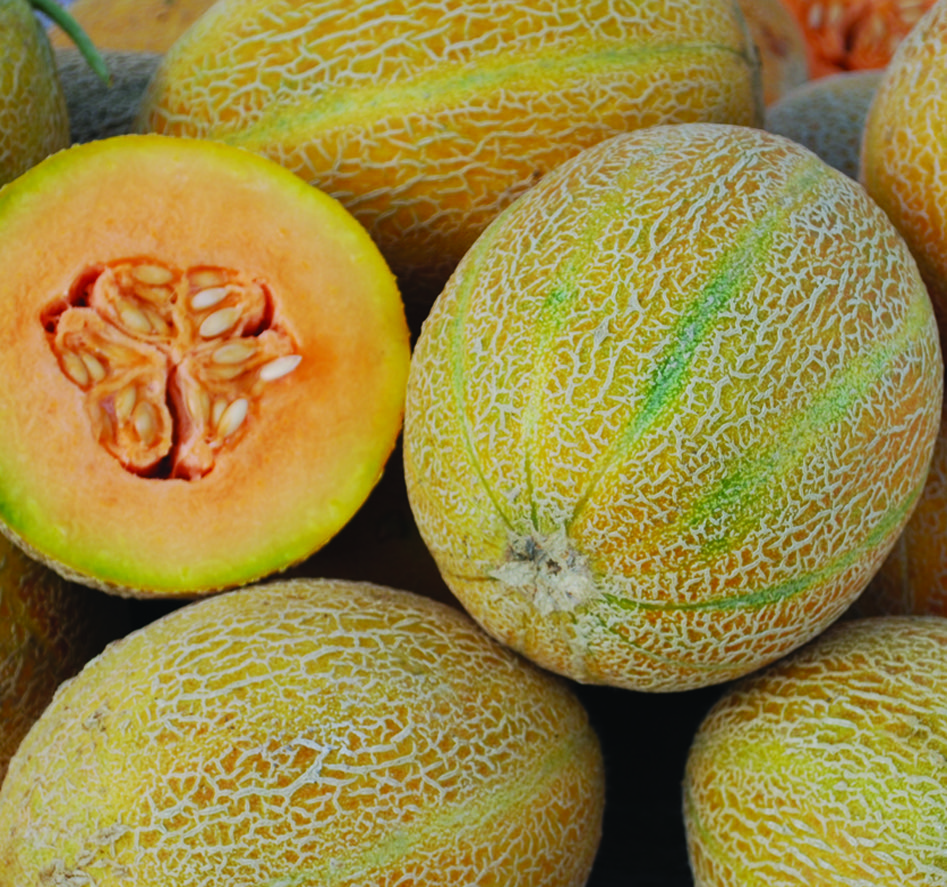 A pile of round, pale-orange 'Sweet Granite' melons, with one sliced in half.
