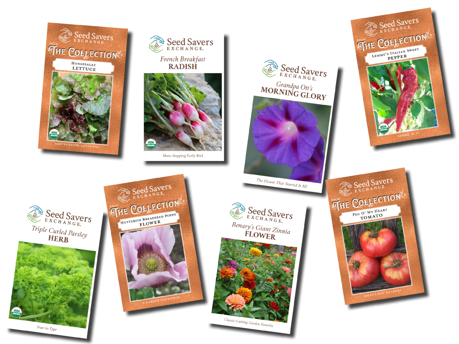Seed Savers Exchange Packets
